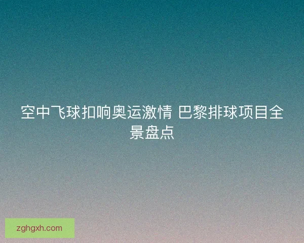 空中飞球扣响奥运激情 巴黎排球项目全景盘点